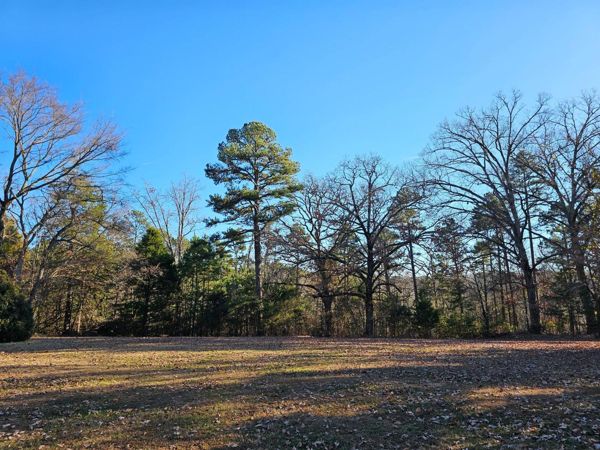 5 Min To Beaver Lake-King Bed-Fire Pit-Jetted Tub #2 Eureka Springs Exterior photo